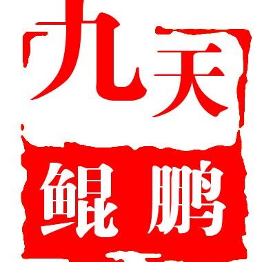 江西九天鯤鵬教育咨詢有限公司